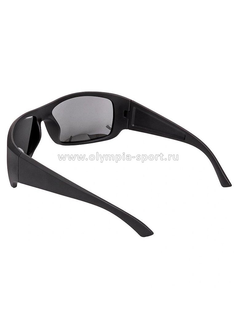 Очки поляриз. в чехле Premier 9390 серый