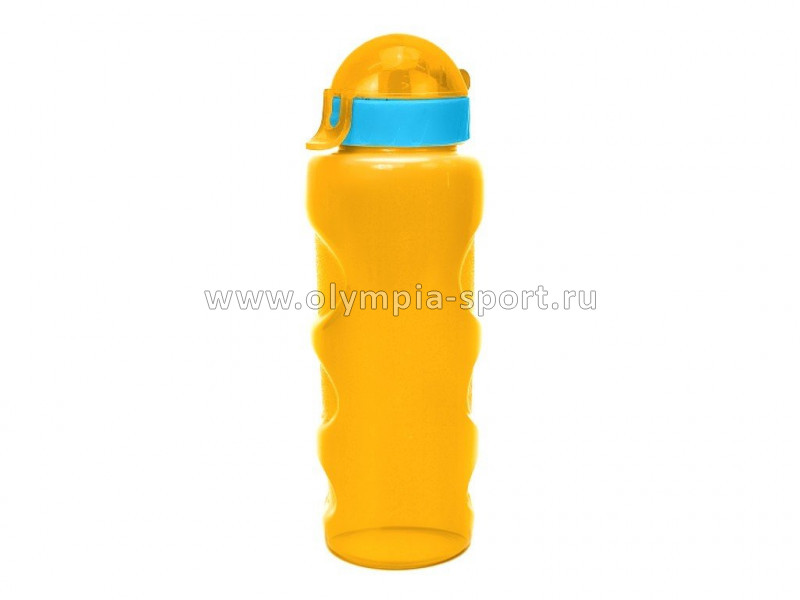Бутылка для воды LIFESTYLE со шнурком, 500ml, anatomic