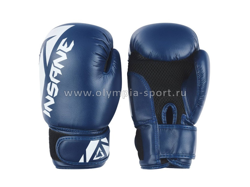 Перчатки боксерские INSANE MARS IN22-BG100, ПУ