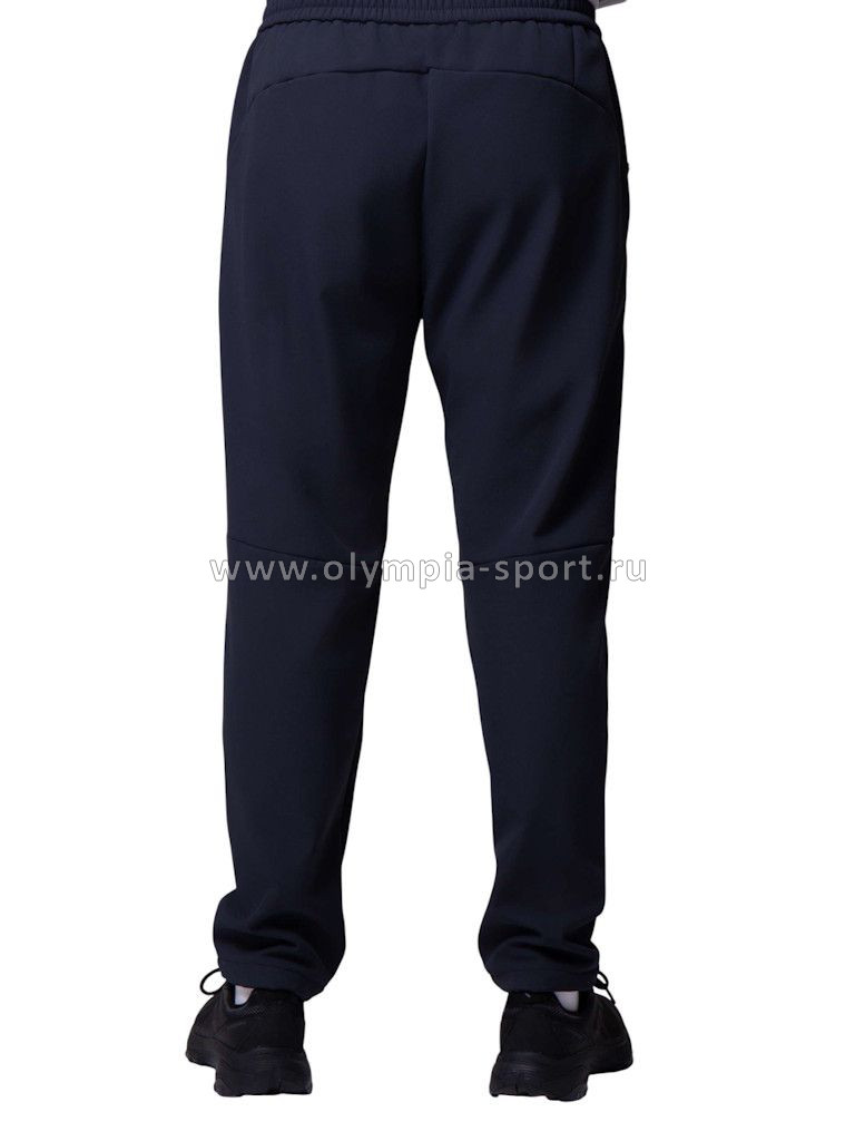 Брюки мужские Strobbs E2465-2 темно-синий