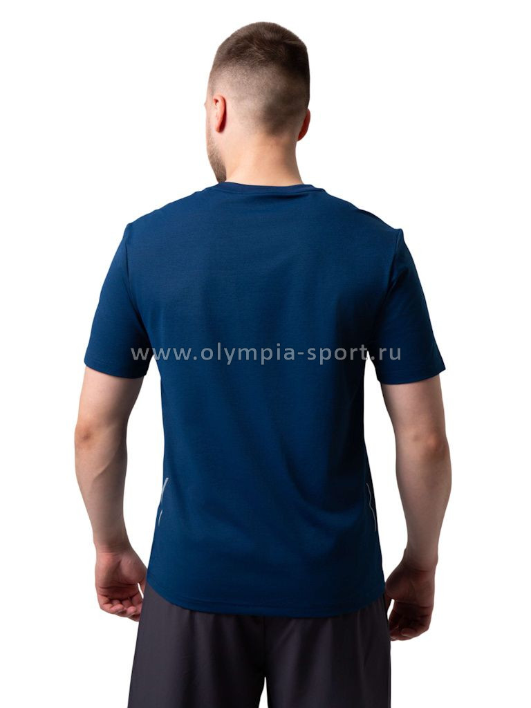 Футболка мужская Strobbs E2535-24 серо-зеленый