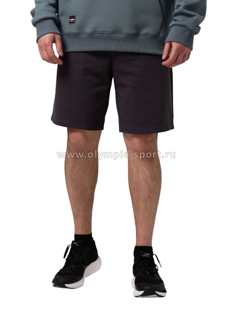 Шорты мужские Strobbs E2477-1 серый