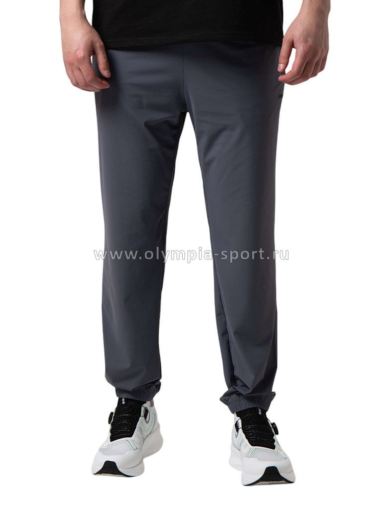 Брюки мужские Strobbs E2430-1 серый