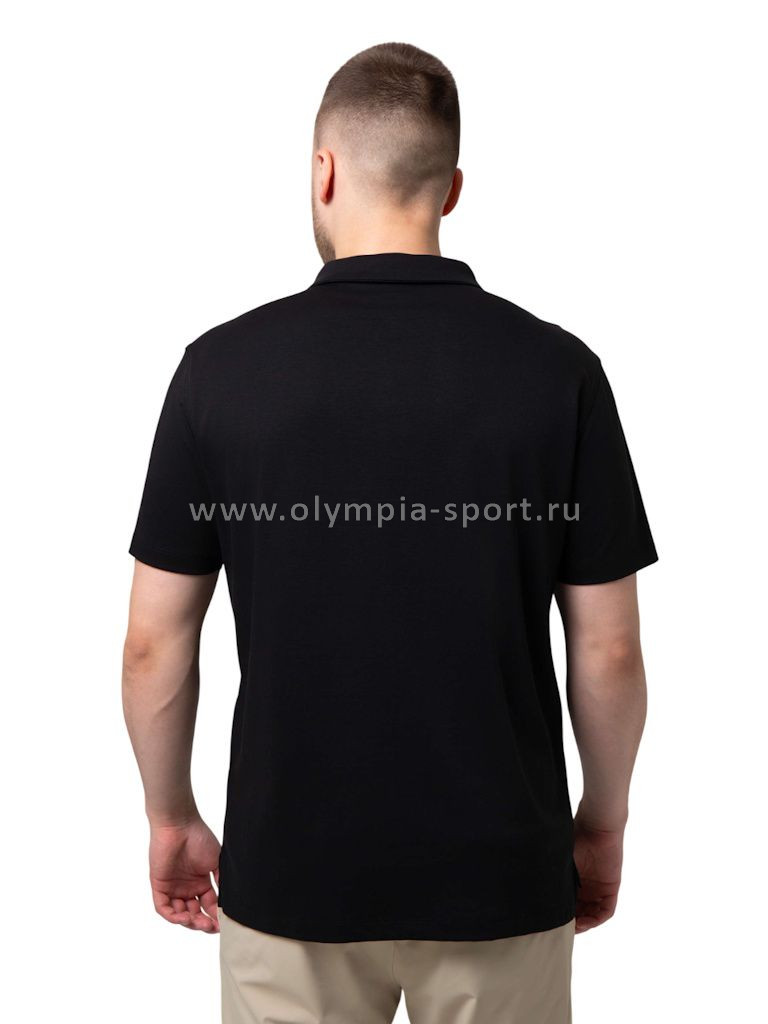 Рубашка-поло мужская Strobbs E2496-3 черный