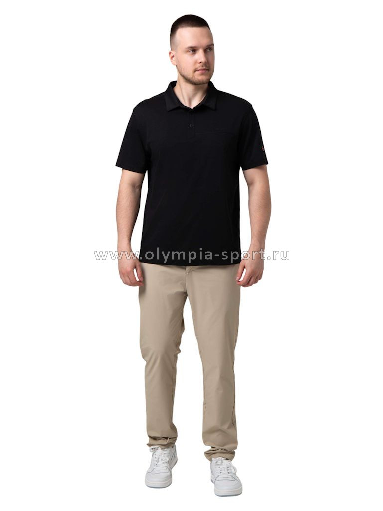 Рубашка-поло мужская Strobbs E2496-3 черный