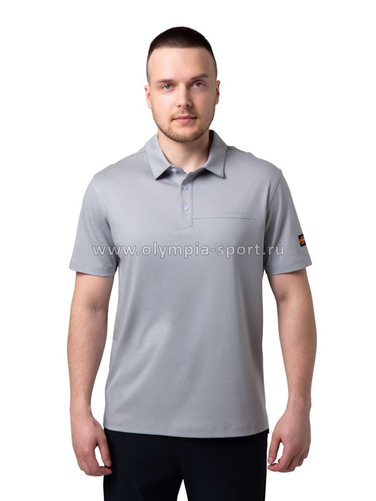 Рубашка-поло мужская Strobbs E2496-4 серый