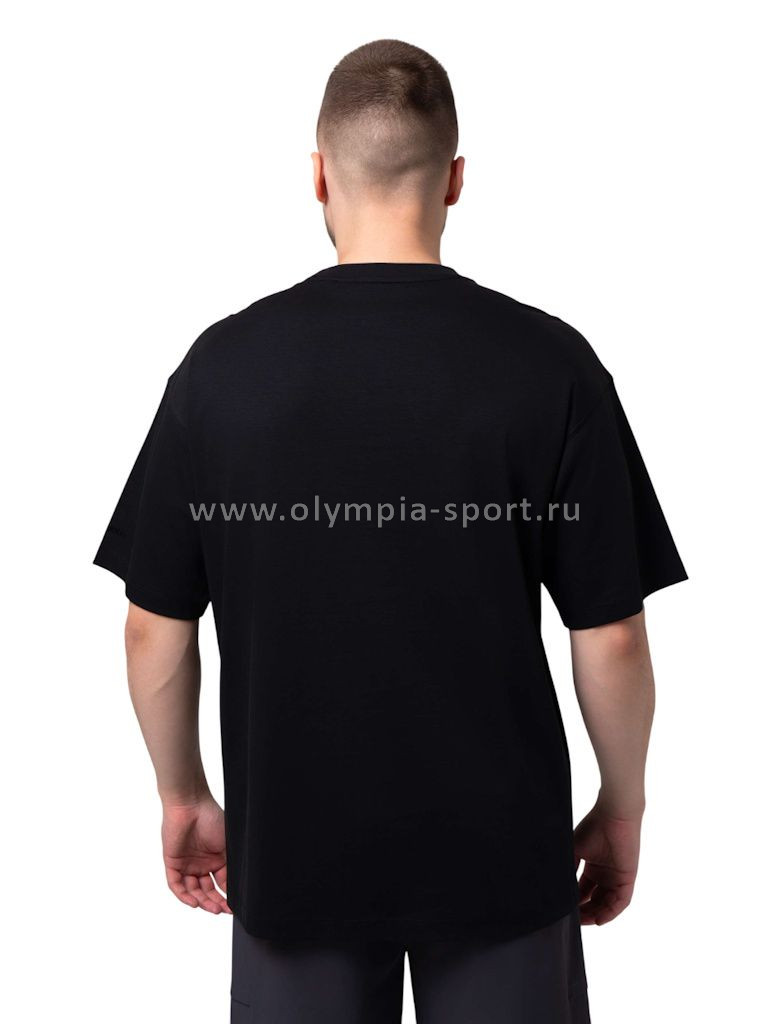 Футболка мужская Strobbs E2497-3 черный