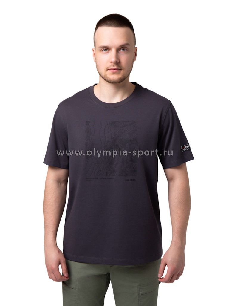 Футболка мужская Strobbs E2517-1 серый