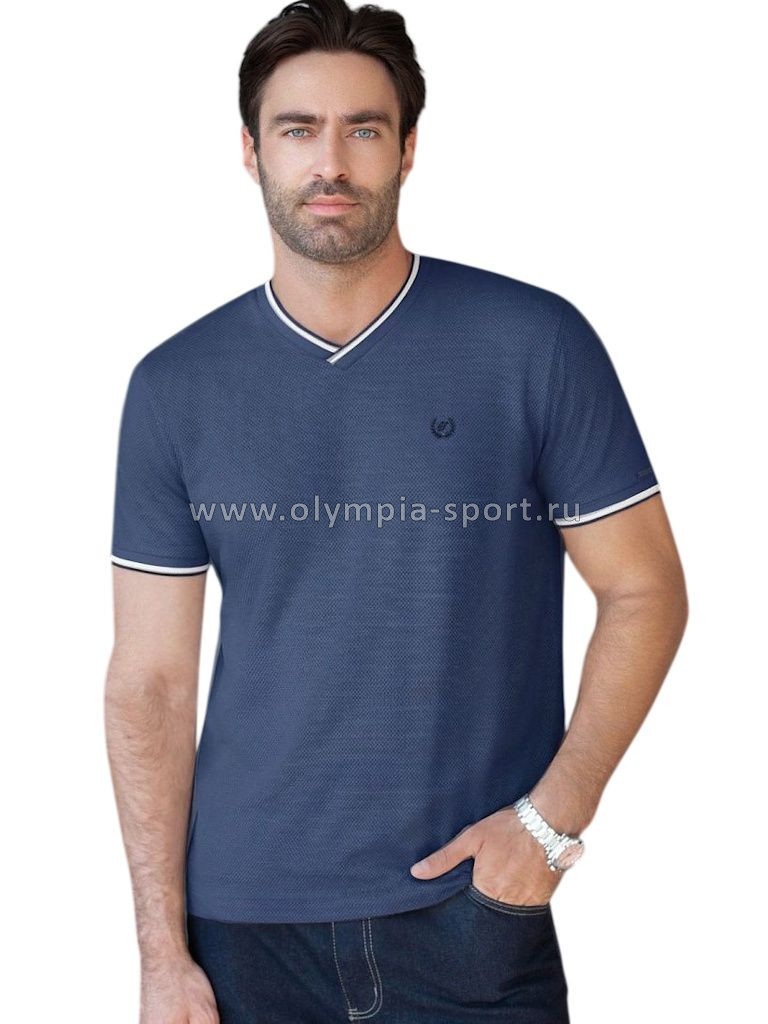 Футболка мужская Vilatte U49.056 св.синий