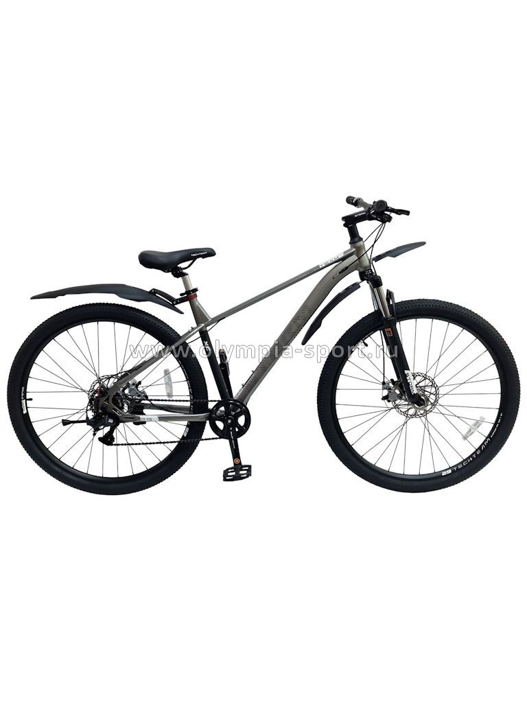 Велосипед TechTeam STORM (29" 21ск рост 19") серый